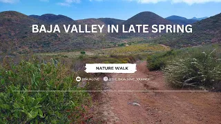 Baja Valley Late Spring - Episode 010