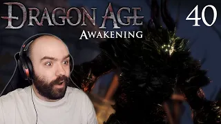 The Baroness of Blackmarsh & Justice - Dragon Age Origins: Awakening | Blind Playthrough [Part 40]