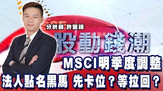 MSCI明季度調整 法人點名黑馬 先卡位？等拉回？《股動錢潮》許豐祿  20220811