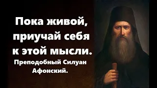 Пока живой, приучай себя к этой мысли. Преподобный Силуан Афонский.