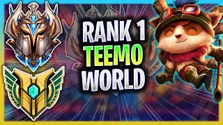 RANK 1 TEEMO IN THE WORLD! | RANK 1 TEEMO TOP GAMEPLAY | RANK 1 TEEMO GUIDE