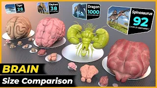 Animal,Dinosaur,Monster Brain size comparison