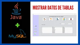 ✅ Parte 1. MOSTRAR datos de TABLAS de bases de datos JTABLE JAVA + MYSQL CRUD COMPLETO Desde CERO ▶