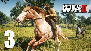 O DOMADOR DE CAVALOS parte 03 - Domei um cavalo cor de cobre - Red Dead Redemption 2