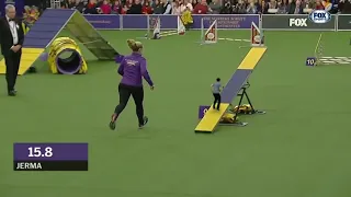 Jerma985 - jerma crushes the Westminster agility course