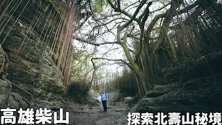 高雄柴山隱藏好多神秘景觀！探索北壽山環狀步道秘境，猴子老樹、礁石岩洞、峽谷斷崖一次滿足