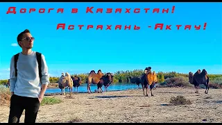 Эмиграция. Астрахань - Атырау - Актау на машине. Граница России с Казахстаном 2022.