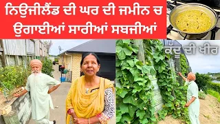 ਮੰਮੀ ਡੈਡੀ ਨਾਲ ਘਰ ਦੇ ਖੇਤਾਂ ਦੀ ਸੈਰ | Our Home Vege Garden Tour and Tips | ਕੱਦੂ ਦੀ ਖੀਰ RECIPE