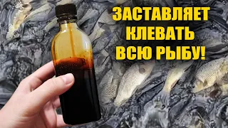 БЕШЕНЫЙ КЛЁВ ВЕСНОЙ! 20мл заставляет всю рыбу клевать! 99% рыбаков не знают этого!