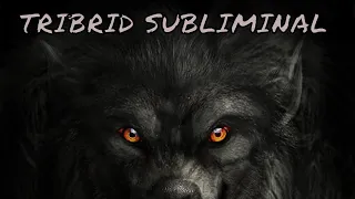 Tribrid Subliminal R