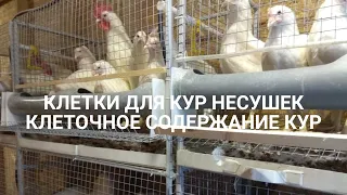 Клетка для кур своими руками. Делаем клетки для кур несушек, бройлеров - инструкция.