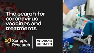 The search for coronavirus vaccines and treatments: Scripps Research COVID-19 updates