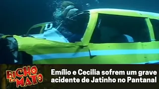 Cecília e Emílio sofrem um grave acidente - Bicho do Mato