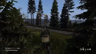 Dayz montage 12