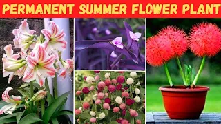 ज़िन्दगी भर साथ निभाने वाले Summer permanent flowering plant जिनको बार बार नहीं खरीदना पड़ता