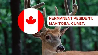 PERMANENT RESIDENT MANITOBA. Які умови отримання. Як я це розумію. cuaet