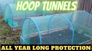 Build A Hoop Tunnel [Gardening Allotment UK] [Grow Vegetables At Home ]