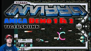 Inviyya - Amiga - Demo 1 & 2 - Longplay - Tigerskunk - With Commentary