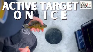 Lowrance Active Target on Ice