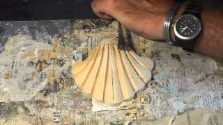 How To: Carve A Scallop Shell