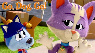 Go, Cat. Go! | GO, DOG. GO! | Netflix