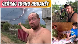 VLOG! Намечается большая буря только бы без последствий😳/Садим облепиху🔥/Хорошо что есть летний душ!