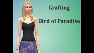 Sims 4 FAQ - Grafting Recipe - Plantain