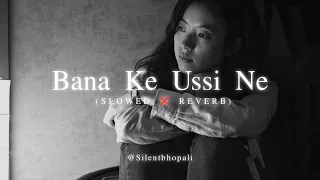 Bana Ke Usi Ne Ujada Mera Aashiyana | New Songs | New Version | Slowed Reverb | Full Lofi Songs 2024