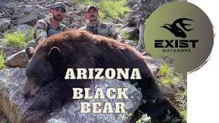 Black Bear Hunting | Big Arizona Black Bear