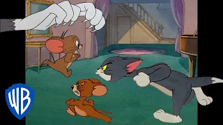 Tom y Jerry en Latino | Las mejores escenas de persecución de Tom y Jerry 🐱🐭 | @WBKidsLatino