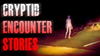 4 ALLEGEDLY TRUE Creepy Cryptid Encounter Stories | True Scary Stories