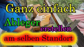 Bienen Ableger erstellen ganz einfach. Teil 1