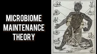 Microbiome Maintenance Theory