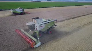 ŽNĚ 2021 | Claas Lexion 600 & 760 + vario 900 | ZD Újezd