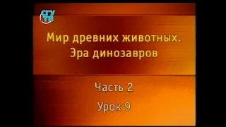 Динозавры. Урок 2.9. Хищные динозавры. От карликов до гигантов