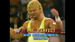 Mr Perfect vs Jim Powers   SuperStars June 9th, 1990