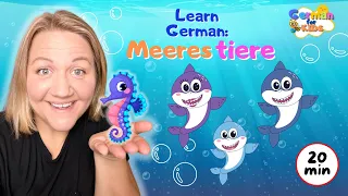 Learn German | Immersive German | Meerestiere | Water Animals | German for Kids