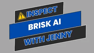 INSPECT: Brisk AI