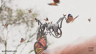 Ryan Hall - CHASING BUTTERFLIES (FULL EP STREAM)