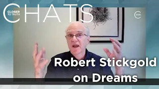 Robert Stickgold on Dreams, Their Purpose, and the Science Behind Them | Closer To Truth Chats