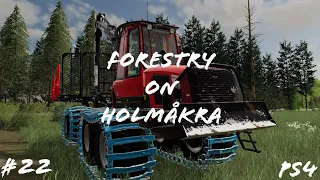 Forestry on Holmåkra #22 |More Forwarding|
