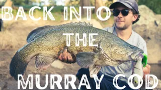 OPEN SEASON - Murray Cod River Fishing