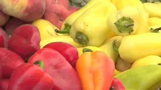 Здоровые новости: Разновидности и польза перцев