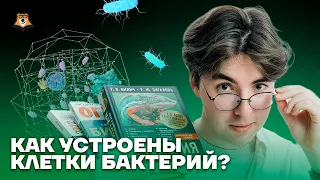 Строение клеток бактерий | Биология ОГЭ 2023 | Умскул