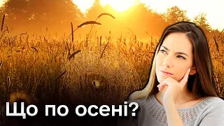 🍁 Осінь ще не настала! Синоптики потішили прогнозами і на наступний місяць