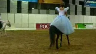 шоу-пони