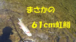 まさかの６１ｃｍ虹鱒