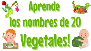 Aprende los NOMBRES de 20 VEGETALES 🥕🥒🍆