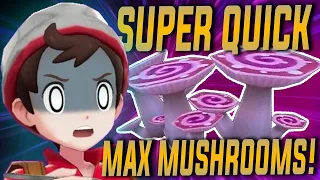 *FASTEST* Way To FARM MAX MUSHROOMS | All info & strategies // Method Guide | Pokemon Isle Of Armor