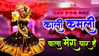 काली कमली वाला मेरा यार है | बांके बिहारी जी के भजन | Shree Krishna Bhajans | Devotional Songs